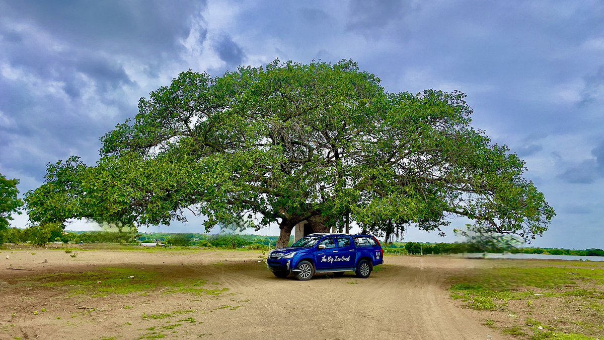 vata_foundation's tweet image. #TheBigTreeQuest

A 40k km solo road trip across India to document India’s historic trees.. trees in your city that you probably never took time to visit!

This is a gigantic effort to bring together India’s incredible tree stories onto one platform so that you can get to visit…