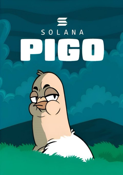 pigomemes's tweet photo. Are you ready, Solana fellows?  $PIGO https://t.co/AyMkayrXJi