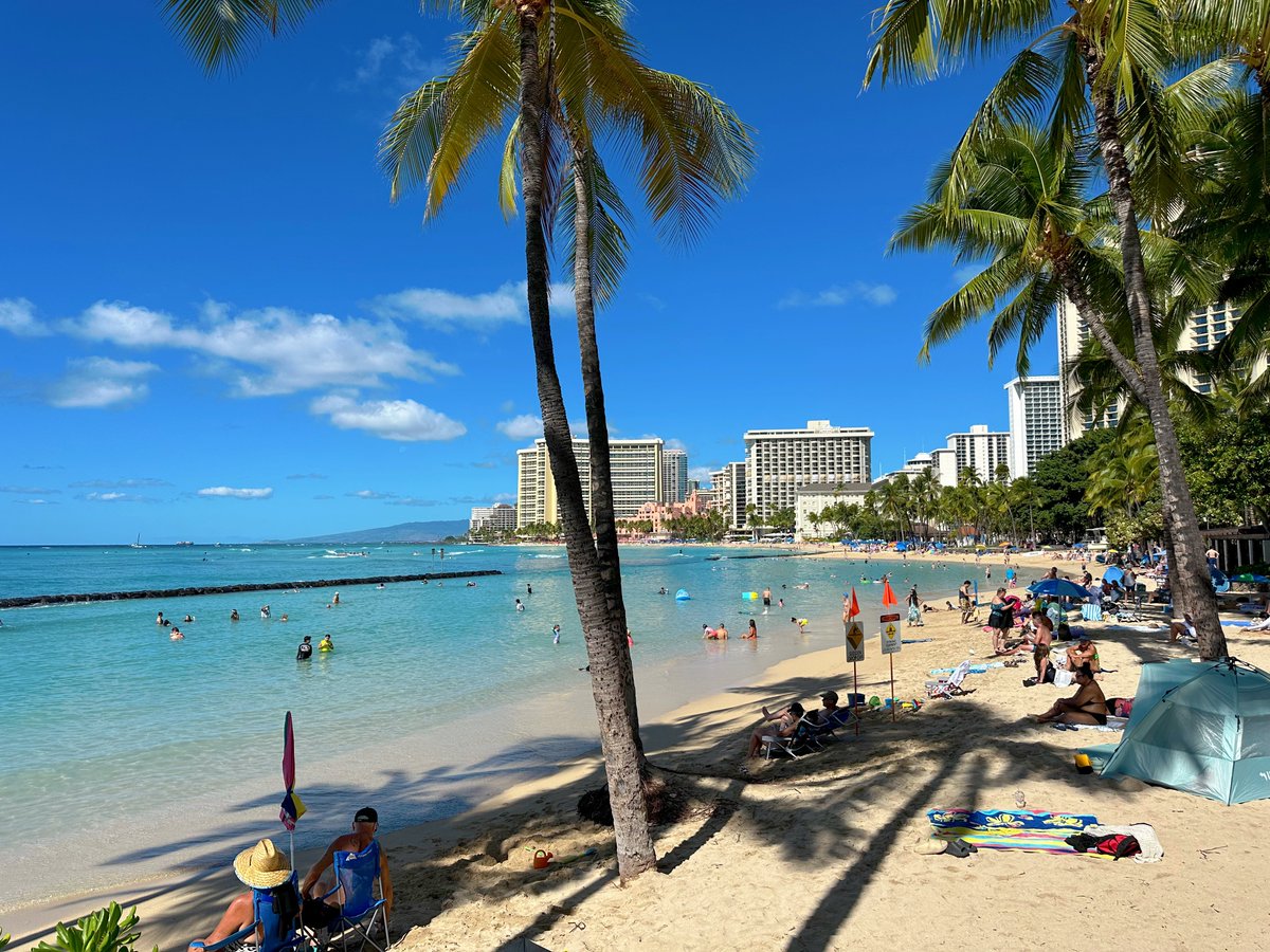 maisasaki0818's tweet image. アロハ〜🤙（無事到着しました！）