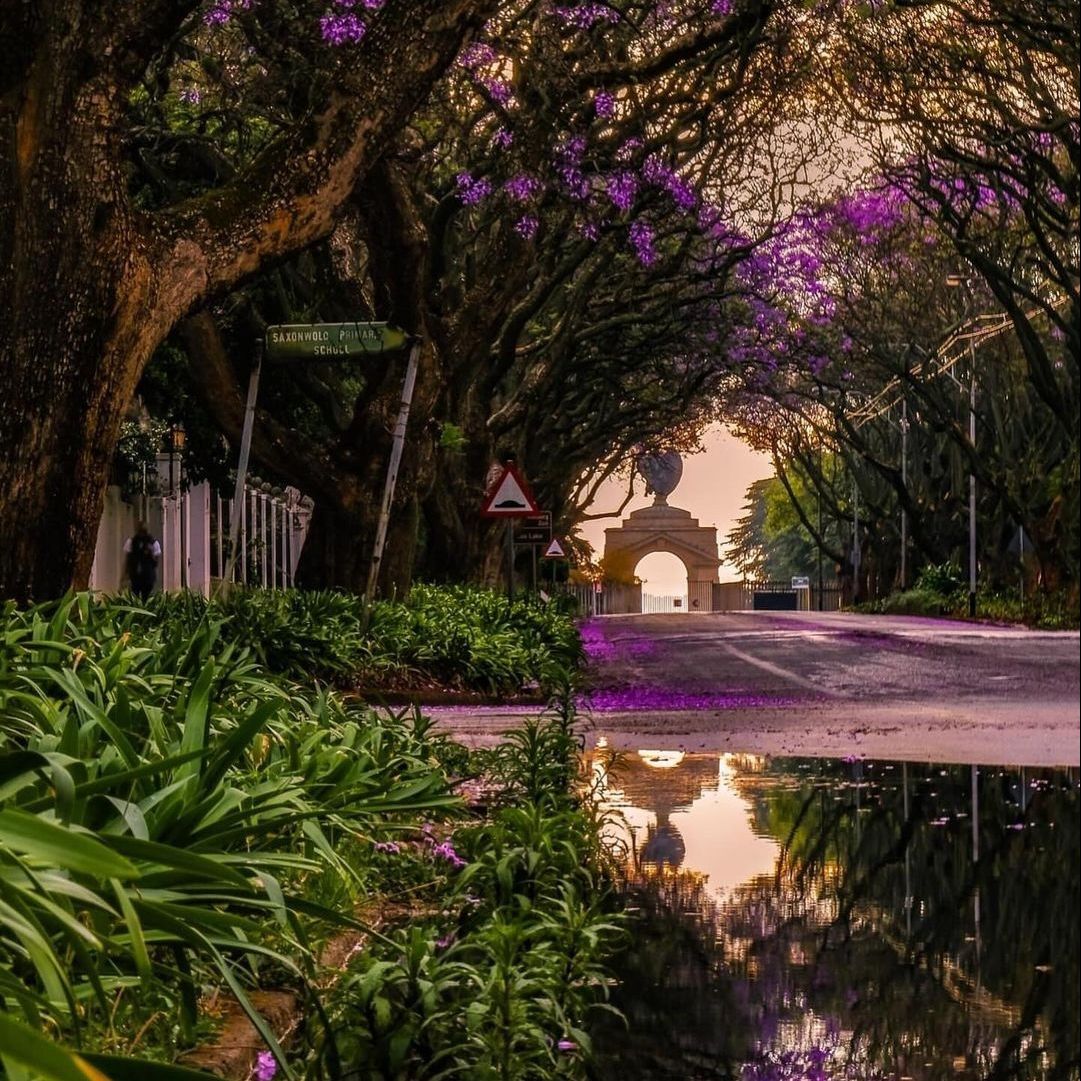 Johannesburg In Your Pocket 📚 tweet media