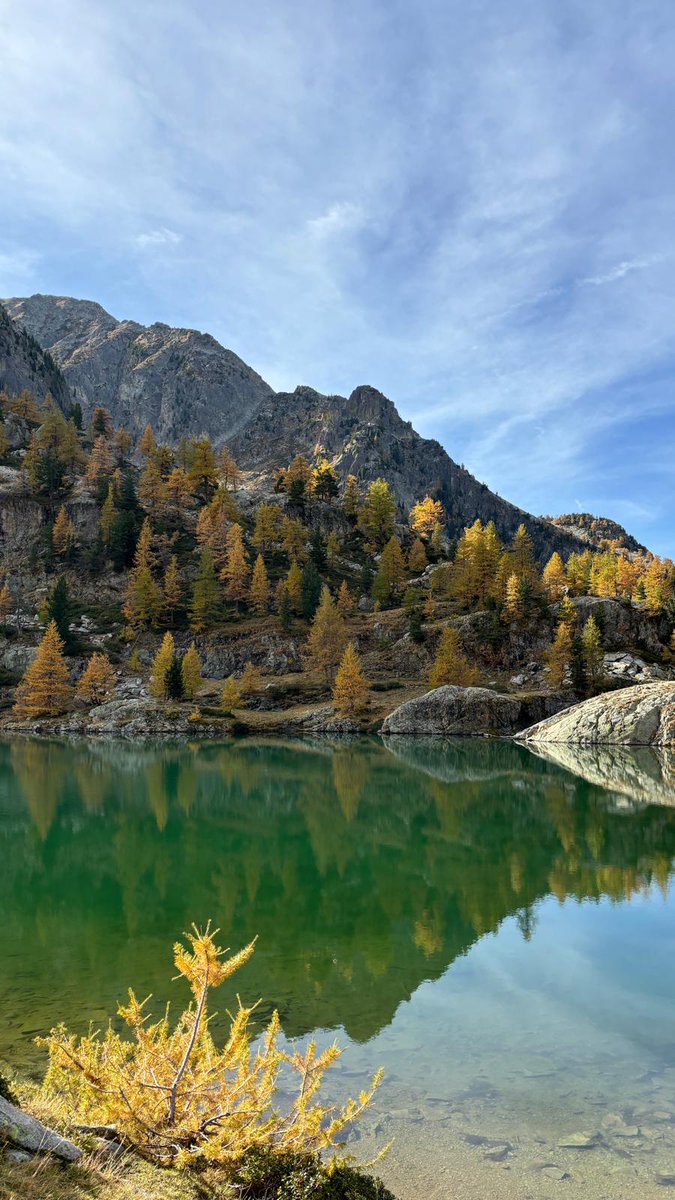Le lac de Trécolpas sublimé par ces couleurs automnales #Jeudiphoto #CotedAzurFrance #FrenchRiviera #ExploreNiceCotedAzur #ILoveNice #Nice06 <a href="/JeudiPhoto/">#JeudiPhoto</a> <a href="/ProCotedazur/">Côte d'Azur France Tourisme</a> <a href="/VisitCotedazur/">Côte d'Azur France</a> <a href="/CRT_RegionSud/">CRT Provence Alpes Côte d'Azur</a>  <a href="/ExploreNCA/">Explore Nice Côte d'Azur</a> <a href="/frrivieraguide/">French Riviera Guide</a>