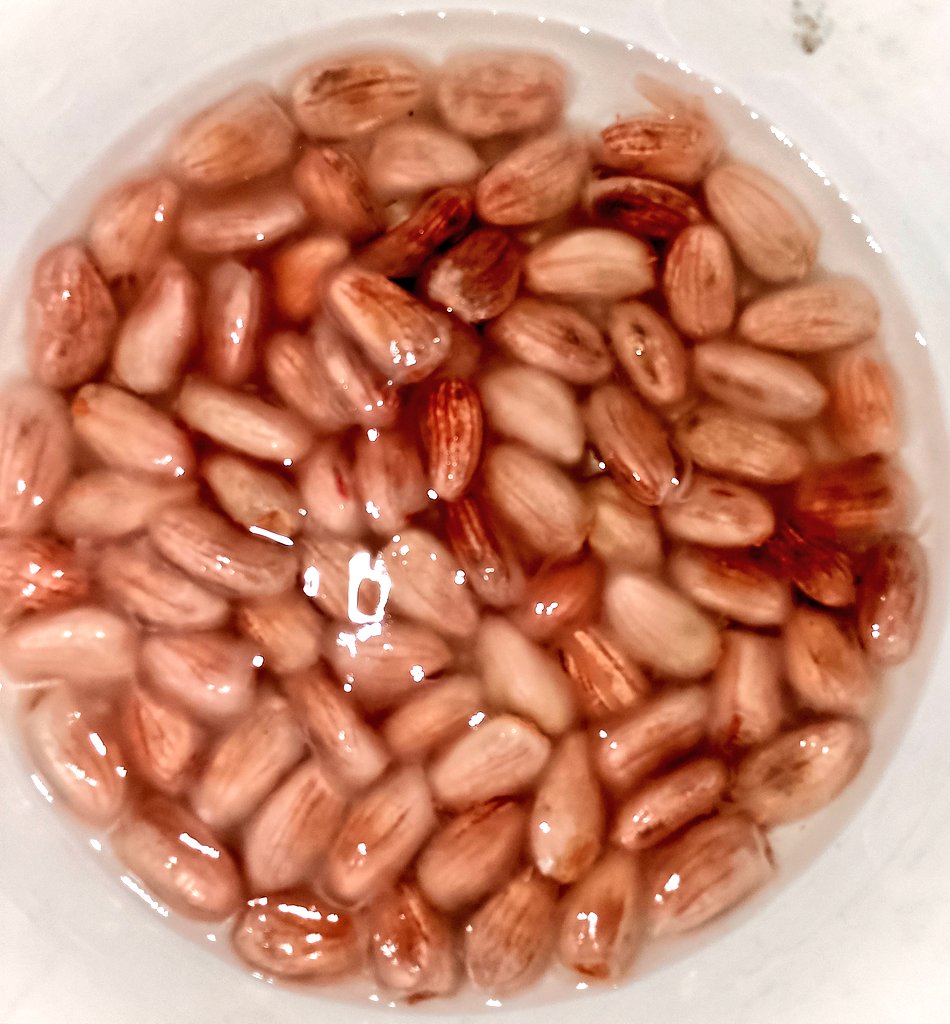 After loosening the mucilage a little, the seed is left to soak until the buds of what would be the roots of the seedling appear.
Fungus Trichoderma harzianum can be applied to give the seeds resistance against diseases, as it also acts as growth stimulator.
