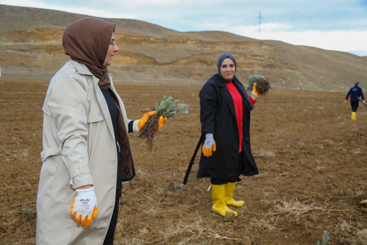Lavantalar Toprakla Buluştu 

Belediyemiz kadın çalışanları ile Kadın meclis üyeleri Belediye Eşbaşkanımız Şengül Polat'ın katılımıyla 25 Kasım Kadına Yönelik Şiddetle Uluslararası Mücadele Günü kapsamında Lavanta dikme etkinliği gerçekleştirildi.