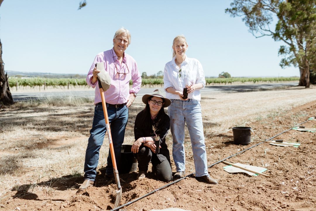 On Sunday, we proudly celebrated 175 years of Yalumba, spanning six generations of family winemaking. The milestone was marked with a staff tree planting day at our 'Signature Vineyard' in the Barossa. #yalumba #yalumba175