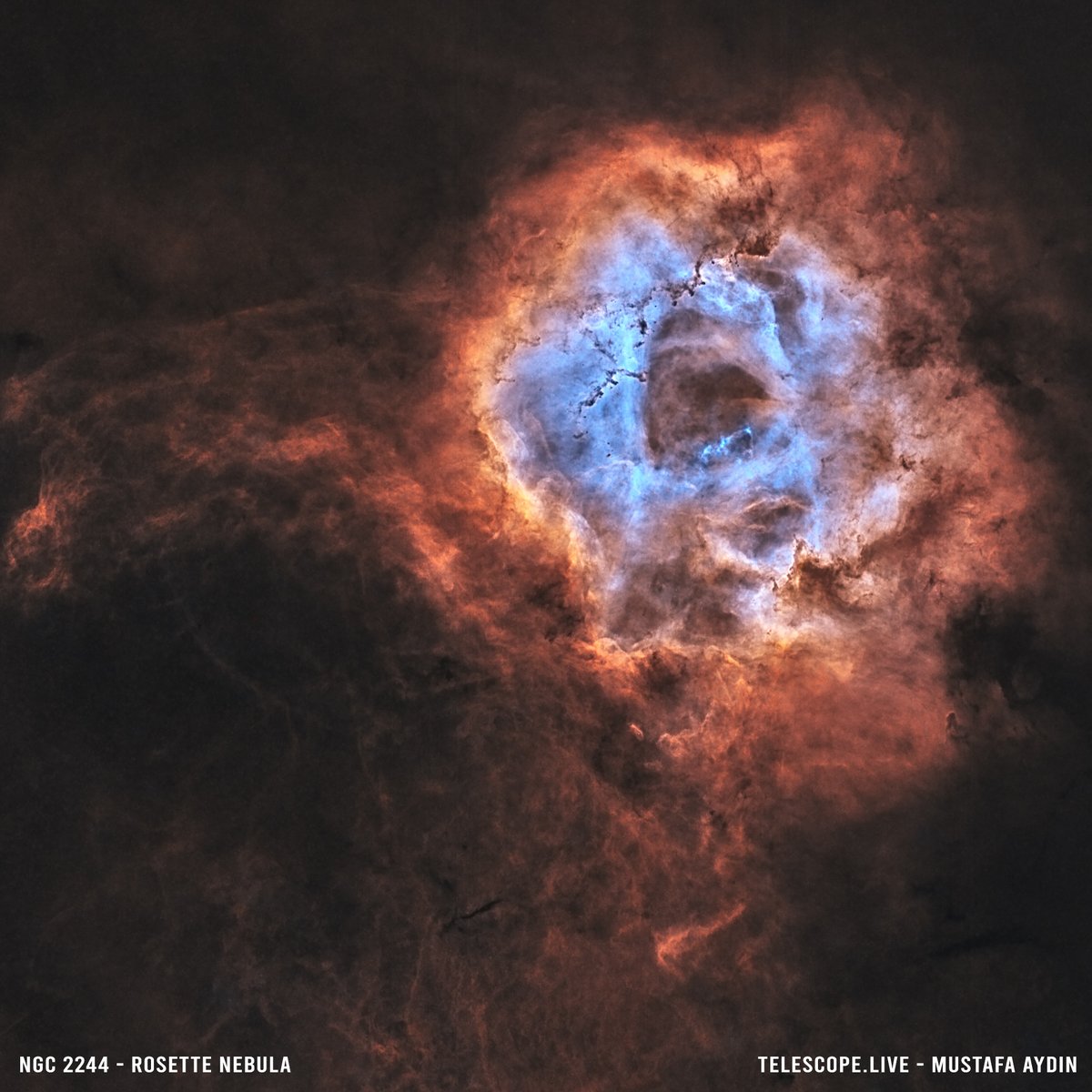 GM Frens &amp; Fact of the Day 👇

Did you know the radiosphere is a sphere around earth where our earliest radio signals have traveled?  

It's about 200 light-years wide and expanding at the speed of light, potentially reaching distant stars—and maybe even alien listeners! 📡✨