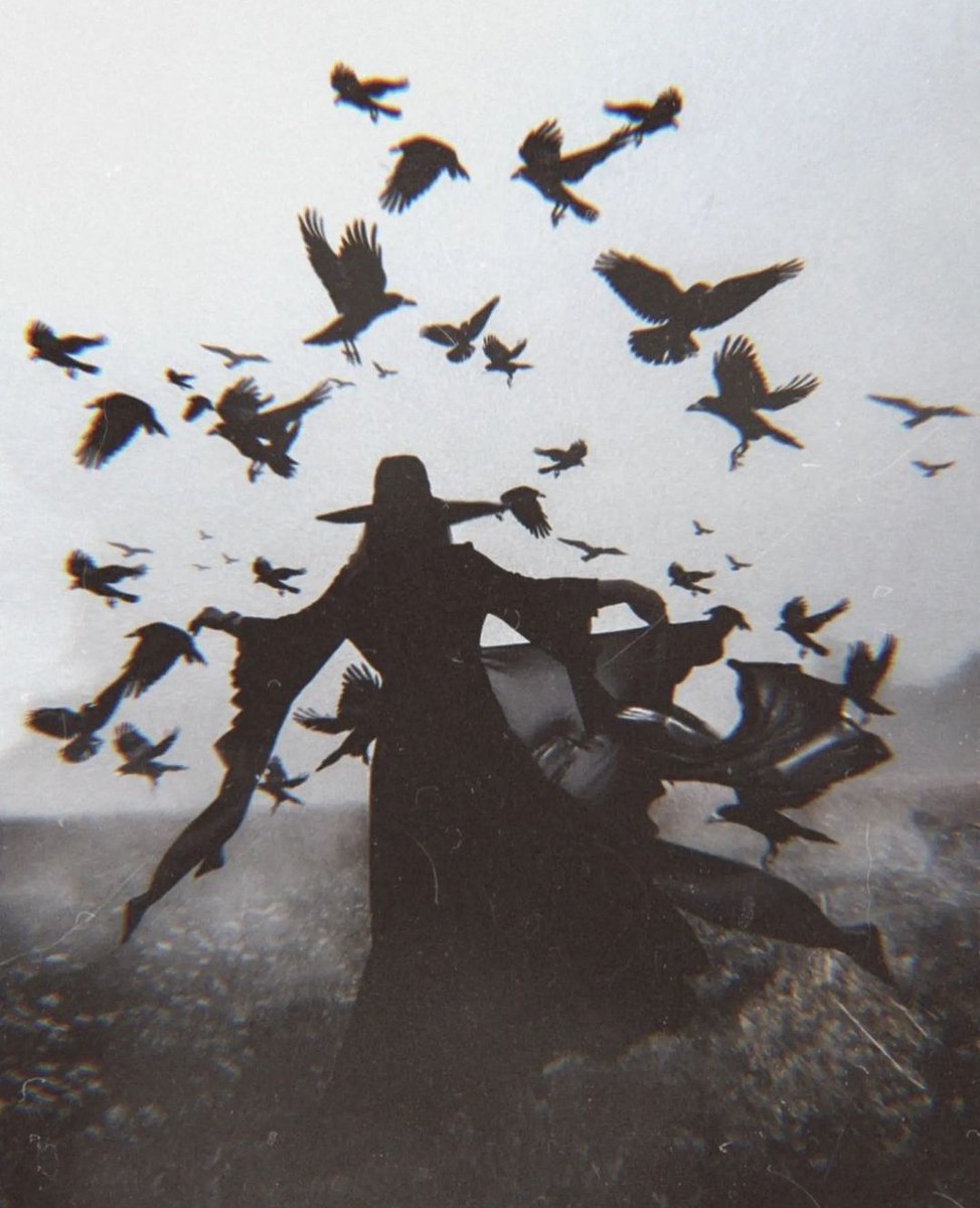 𐱃 (@swordandland) on Twitter photo 