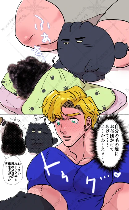 スミイサ🐱

ほら、夜は冷えるからあったかくしろ… 