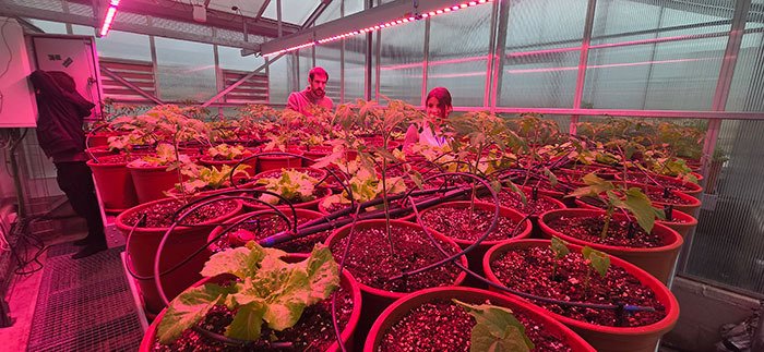 la_UPC's tweet photo. Avui presentem el laboratori Airgilab,  1r living lab que regenera l’aire dels edificis amb 🍅 cultius.

☘️ Descarbonitza un aula i un despatx de l'@eseiaat_upc amb la fotosíntesi de l'hivernacle del terrat. L'ha creat el @GRIC_UPC en 2 projectes amb @sostenipra https://t.co/dgwMzewsrz