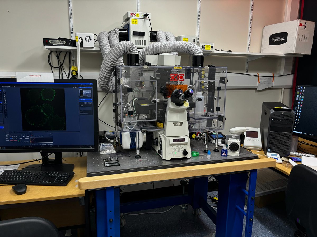 This week, we held a Wolfson Light Microscopy Facility tour at the University of Sheffield! It was a great opportunity for students to learn more about widefield and confocal microscopy and its role in research.
