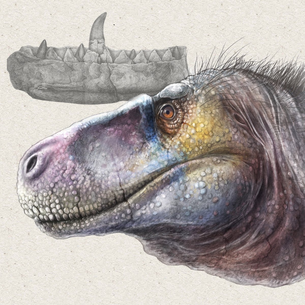 Lapworth Lecture - Mon 25 Nov, 5:30pm 🦖

@PalaeoStephan will explore how modern research has changed our perception of dinosaurs over the last 200 years.

📍 Lecture Theatre WG5, Aston Webb A-Block (also on Zoom)

More info: ow.ly/NWR750UaIcy

<a href="/unibirmingham/">Uni of Birmingham</a> <a href="/LES_UniBham/">College of Life and Environmental Sciences</a>