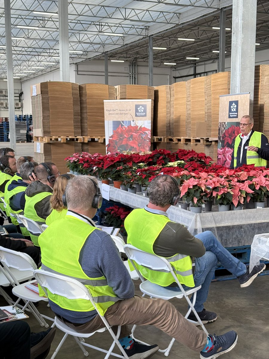 Sharing the variety trial overview slot is Johan Heemskerk, Beekenkamp sharing their latest variety updates #britishornamentals #Boa #poinsettia #homegrown #horticulture
