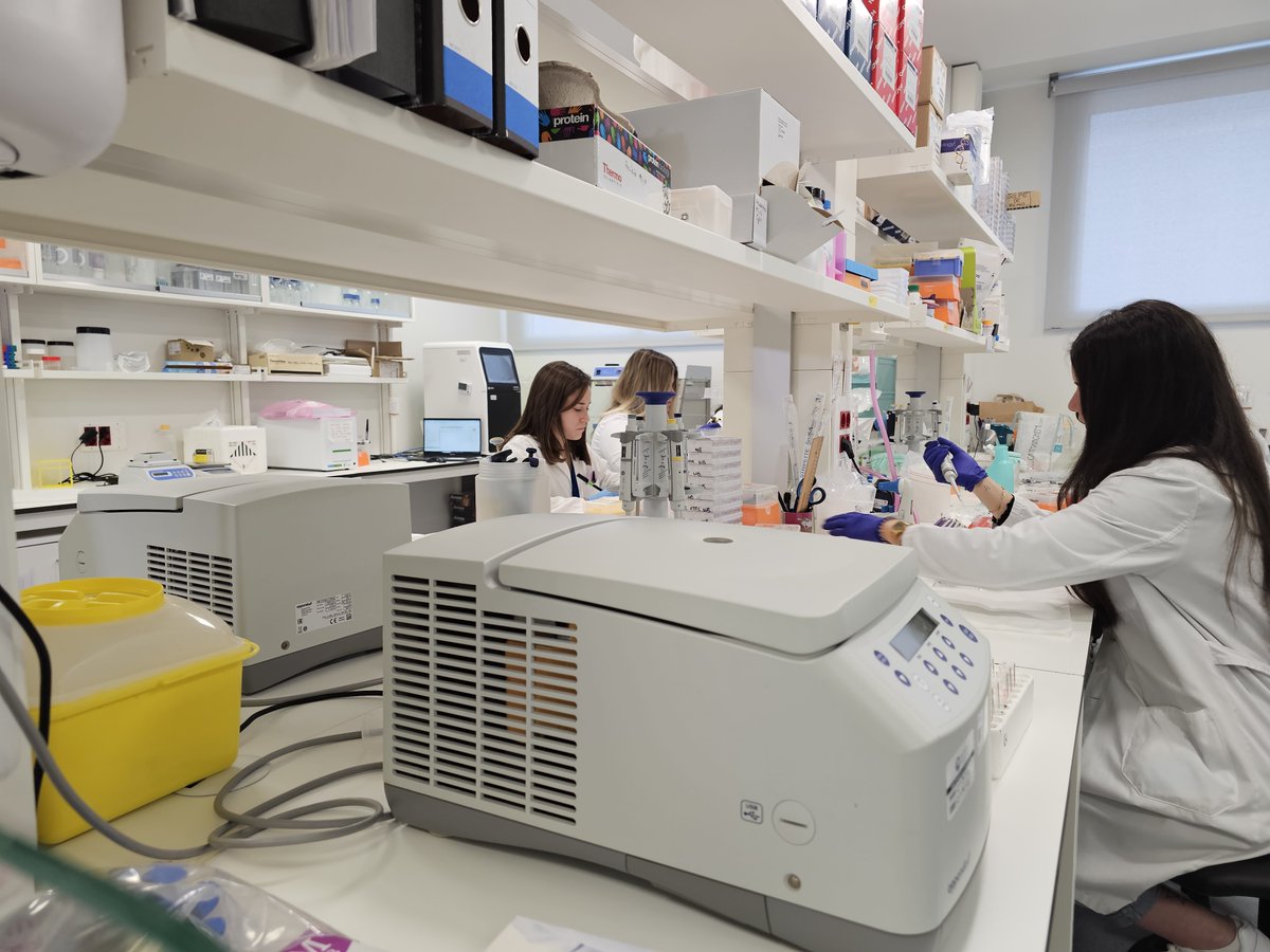 📆 Hoy, #diamundialdelcancerdepancreas. 
 
🏥 La Unidad de Tumores Digestivos del 12 de Octubre, que lidera la doctora Rocío García Carbonero, tiene en marcha ensayos clínicos innovadores, como virus oncolíticos o autovacunas del propio tumor, muy esperanzadores.

#somosdel12