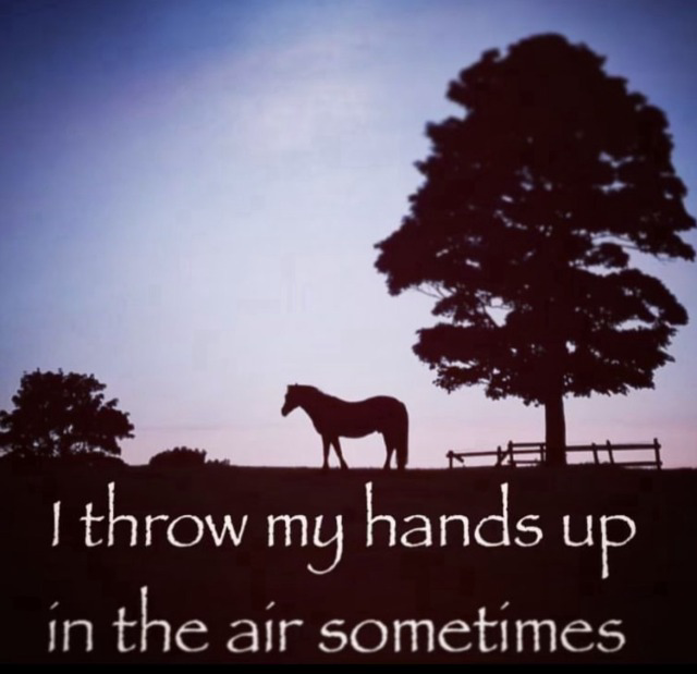 equine__dentist's tweet photo. https://t.co/PnpZYeWcsr