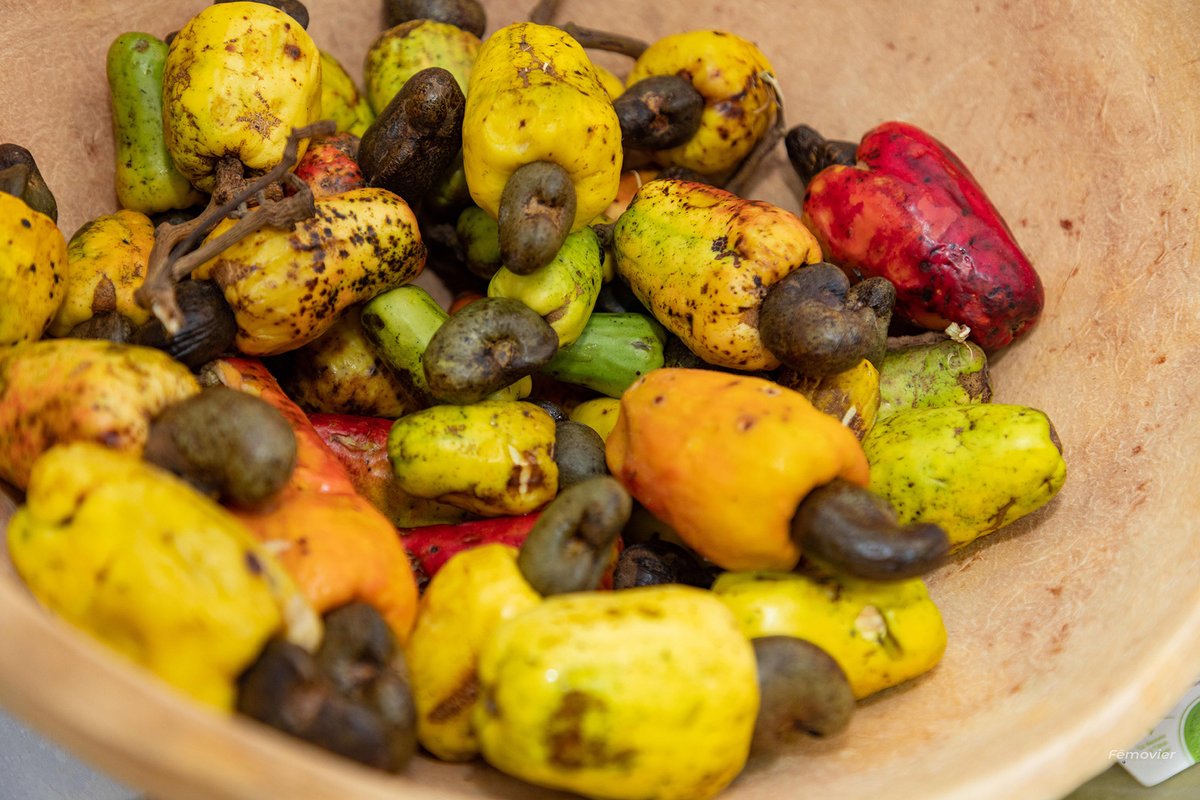 Parliamentary Network Africa tweet media