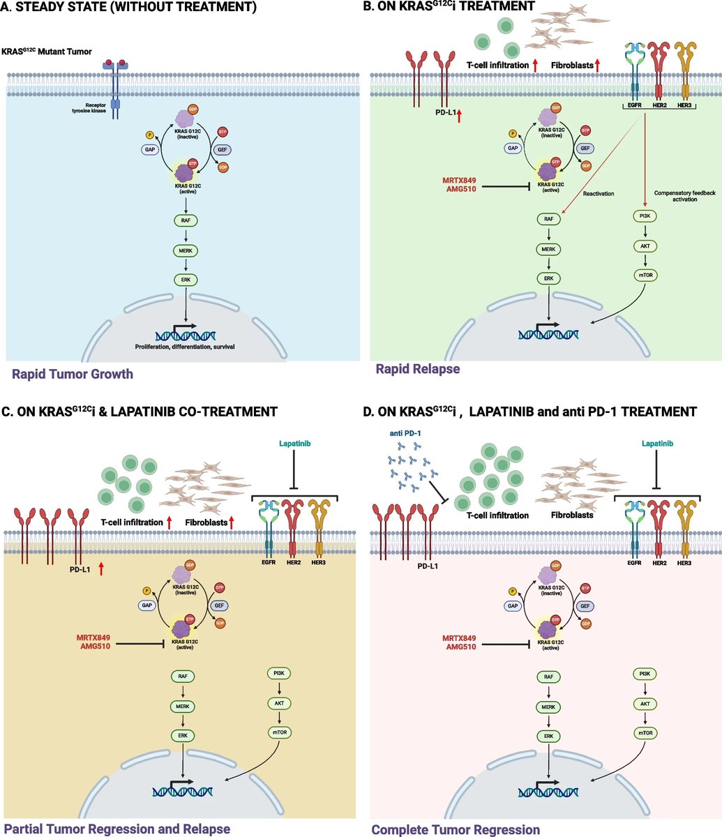 Moshe Elkabets - Elkabets lab tweet media