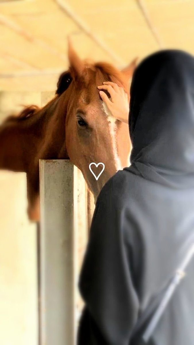 فرا☌ tweet media