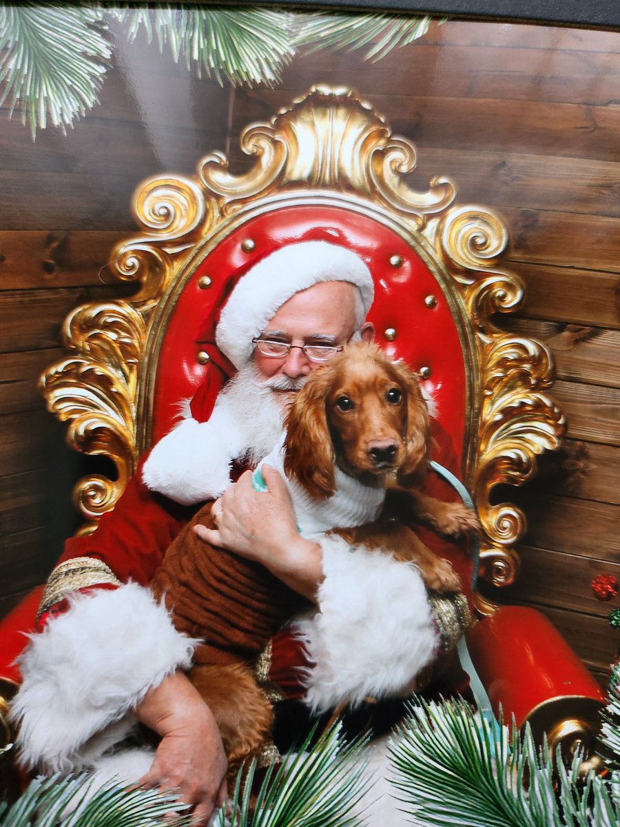 AttackaMasha tweet media