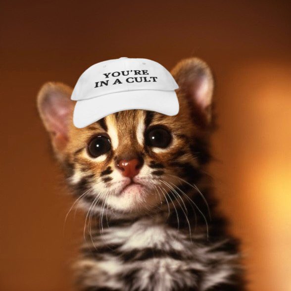 You’re now apart of the cult

Sorry I don’t make the rules - $Zeus