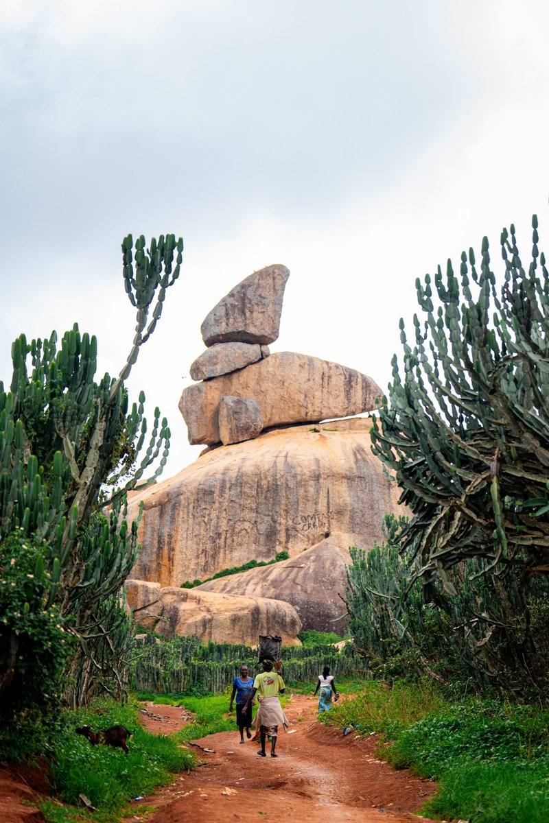 See Naija, See Beauty! 

From serene lakes to lush pine forests and breathtaking waterfalls—Naija’s natural wonders are unmatched!

Join the #SeeNaijaChallenge and show us the beauty of Naija through your lens.

Visit mtn.ng/seenaija to participate! 

Let’s celebrate the