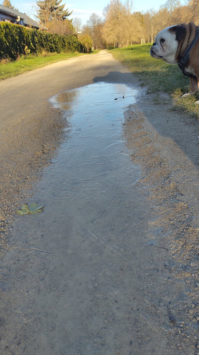 Die Lacken hatten heute Morgen Falten!!! 😳