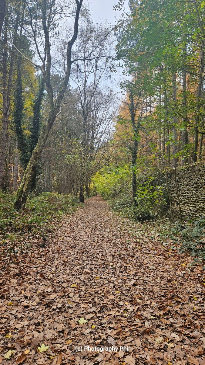 Photography Phil tweet media