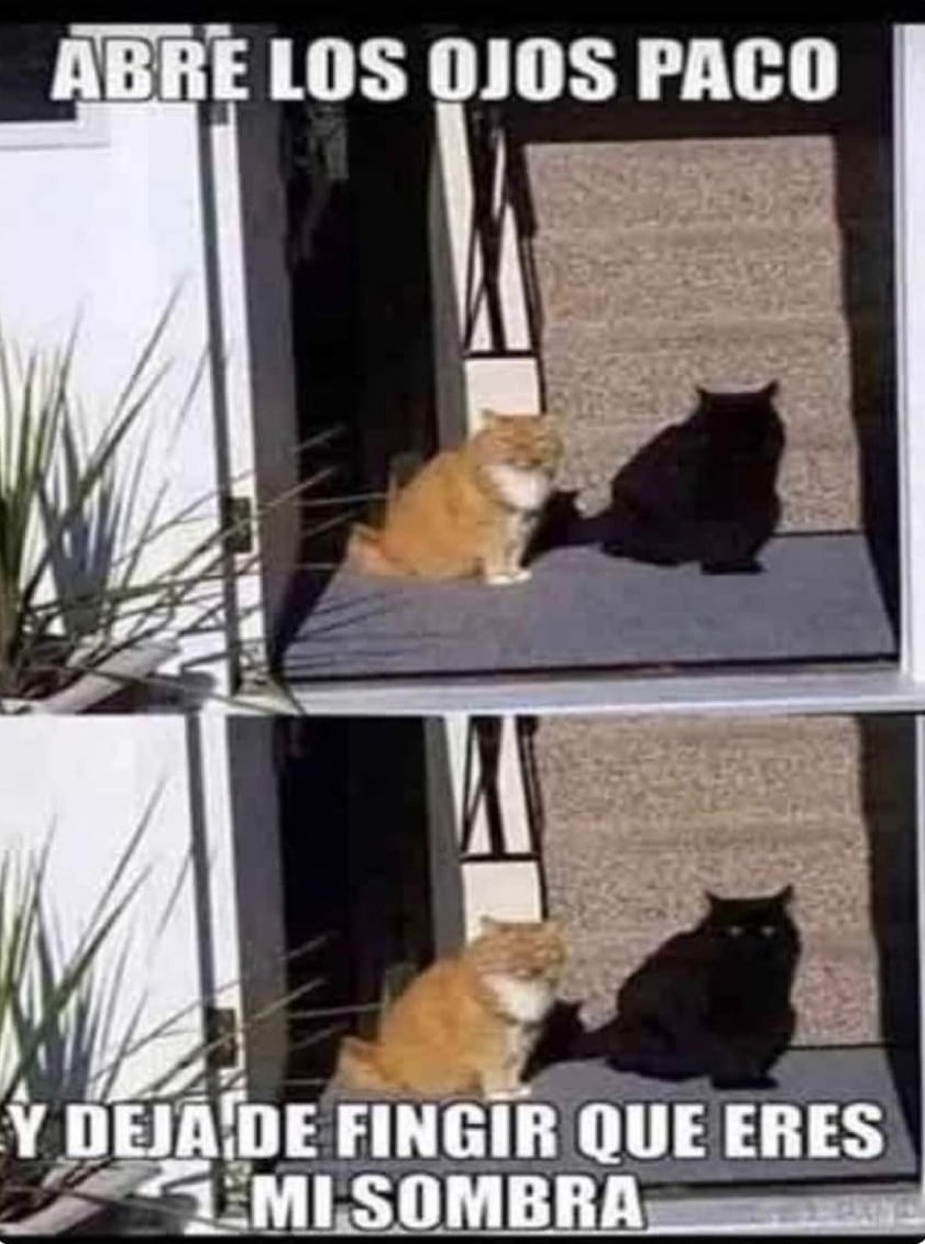 Ana_LaPatata (@ymuchosmemes) on Twitter photo 