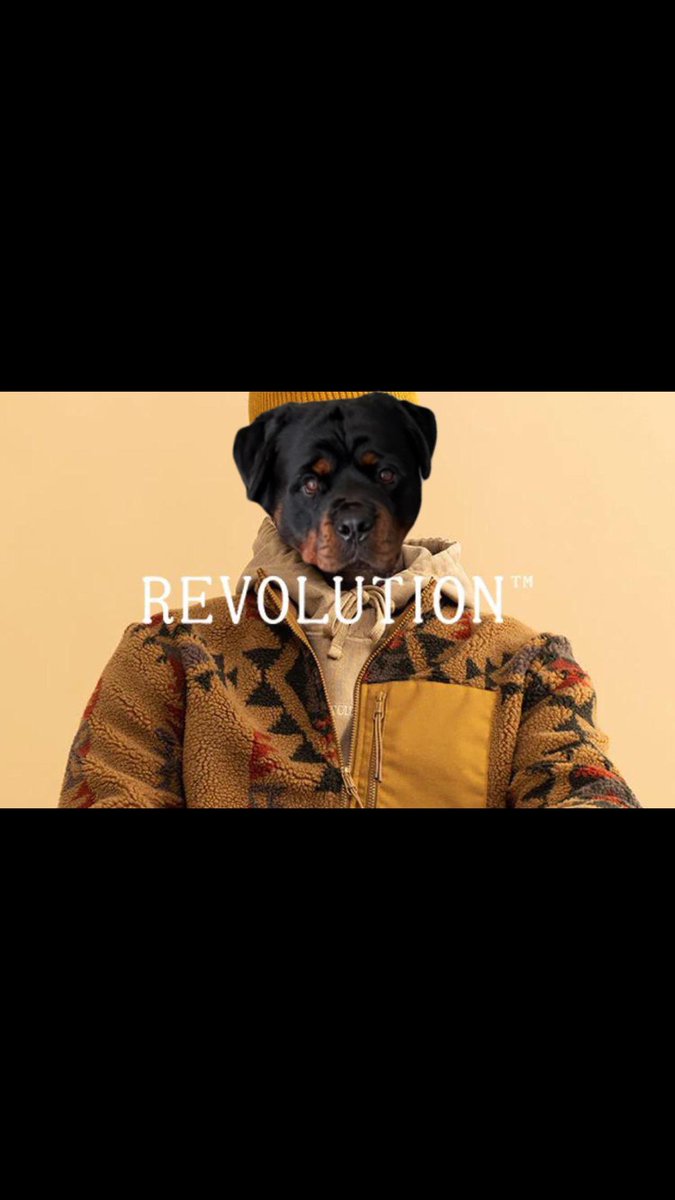 Dyce the Rottweiler tweet media