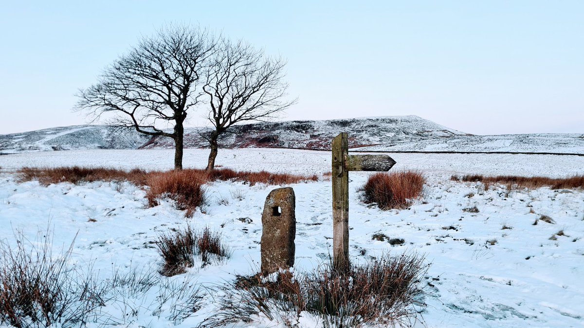 Robbledo tweet media