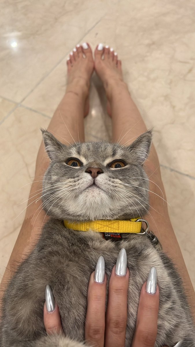 این بچه با این نگاهش حق مطلب رو رسوند 😂🤦🏻‍♂️