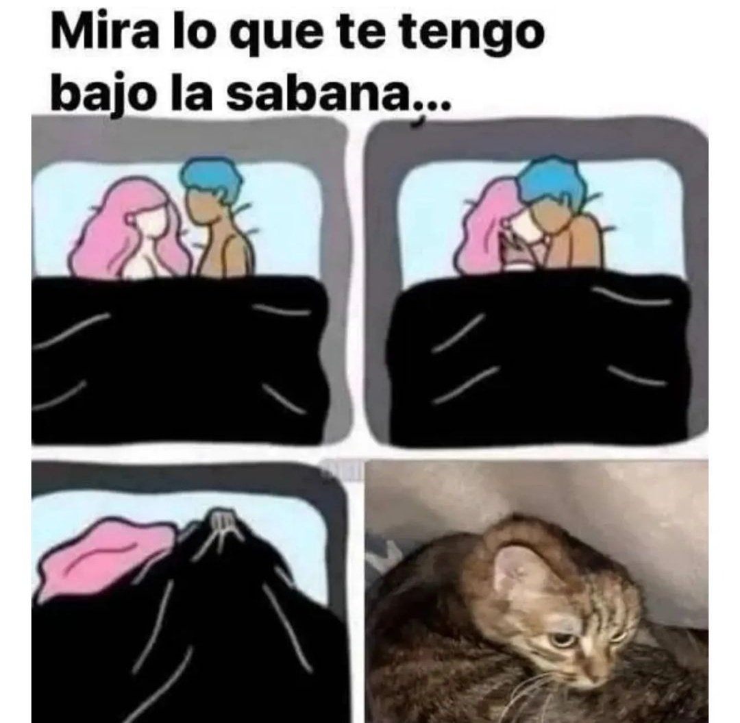 Ana_LaPatata (@ymuchosmemes) on Twitter photo 