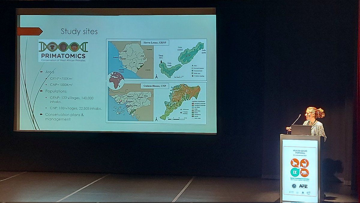 Marina Ramon Gorina (@marina_ramon) on Twitter photo <a href="/IsaAleixoPais/">Isa Aleixo Pais</a> presenting her work using eDNA to gain insights on colobus diet and inform conservation in Guinea-Bissau and Sierra Leone #IXIPC2024 <a href="/app_portuguese/">APP - Portuguese Primatological Association</a> <a href="/APEspain/">APE</a> <a href="/IsaAleixoPais/">Isa Aleixo Pais</a> presenting her work using eDNA to gain insights on colobus diet and inform conservation in Guinea-Bissau and Sierra Leone #IXIPC2024 <a href="/app_portuguese/">APP - Portuguese Primatological Association</a> <a href="/APEspain/">APE</a>