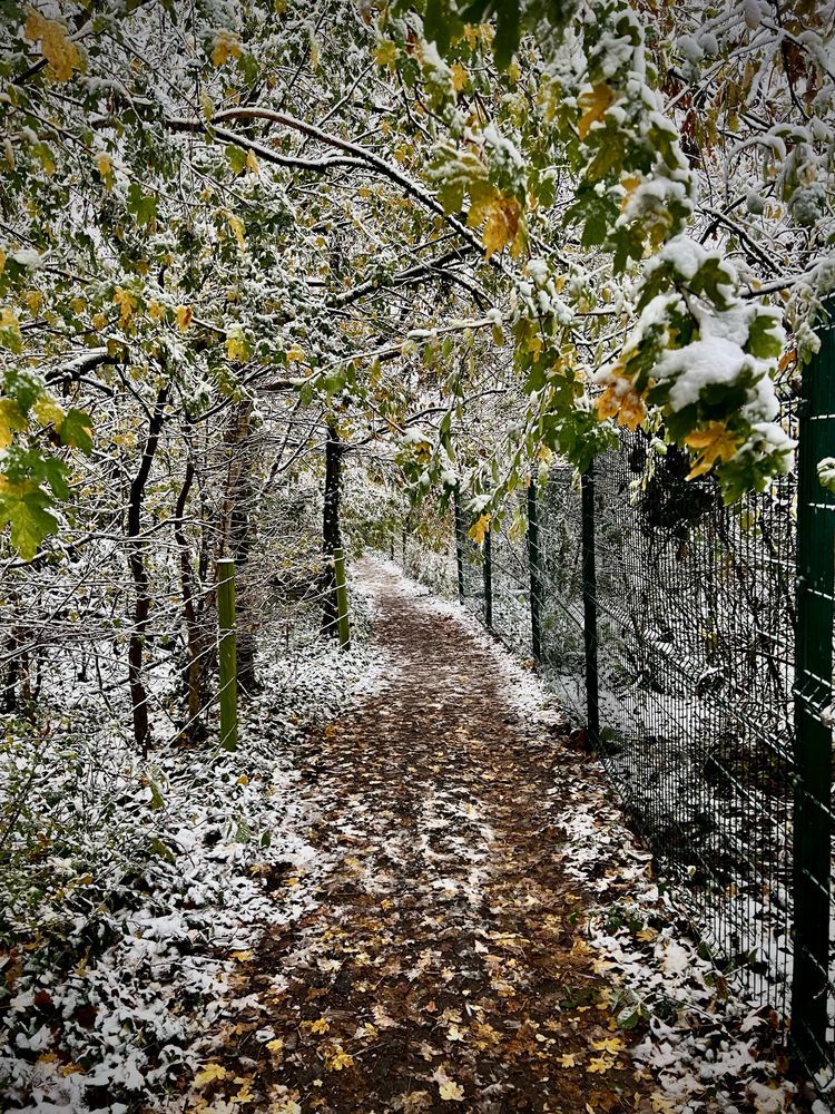 Aurel Sari tweet media