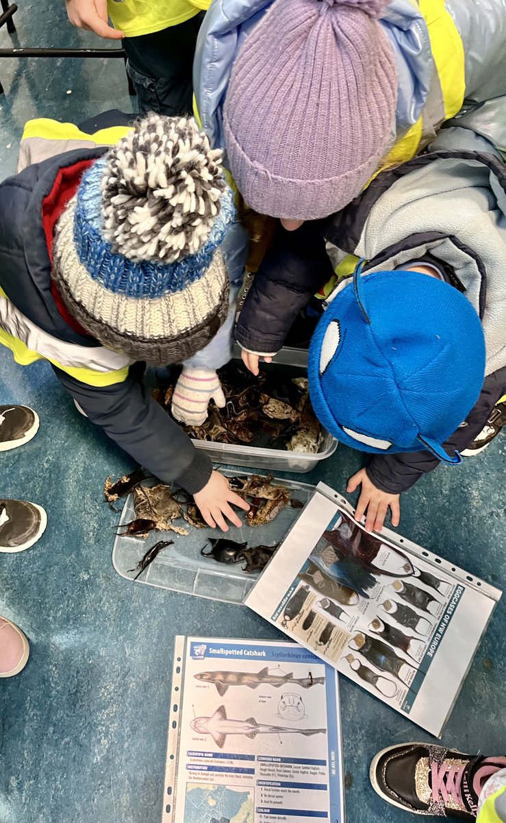 Dr Rita Melia tweet media