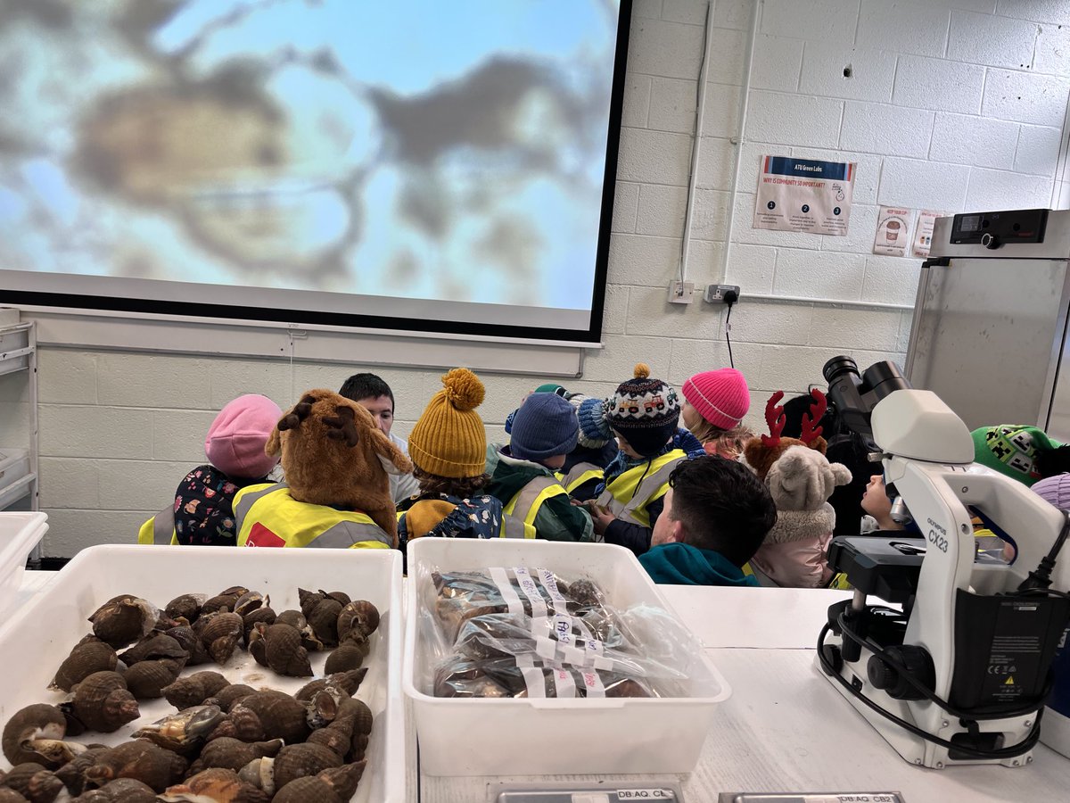 Dr Rita Melia tweet media