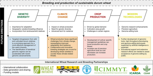 Wheat Initiative (@wheatinitiative) on Twitter photo You would like some insights from early career researchers (ECRs)?
Read this article by Amanda R. Peters Haugrud, <a href="/analauraachilli/">Ana Laura Achilli</a>, Raquel Martínez-Peña, <a href="/Val_Klymiuk/">Valentyna Klymiuk</a>
"Future of durum wheat research and breeding: Insights from early career researchers"
doi.org/10.1002/tpg2.2… You would like some insights from early career researchers (ECRs)?
Read this article by Amanda R. Peters Haugrud, <a href="/analauraachilli/">Ana Laura Achilli</a>, Raquel Martínez-Peña, <a href="/Val_Klymiuk/">Valentyna Klymiuk</a>
"Future of durum wheat research and breeding: Insights from early career researchers"
doi.org/10.1002/tpg2.2…