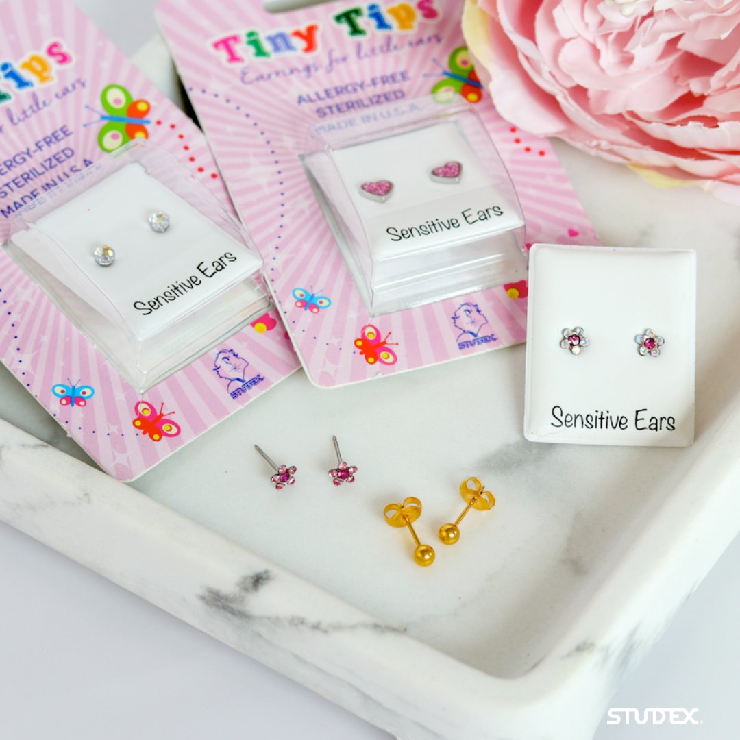 STUDEX of Europe tweet media