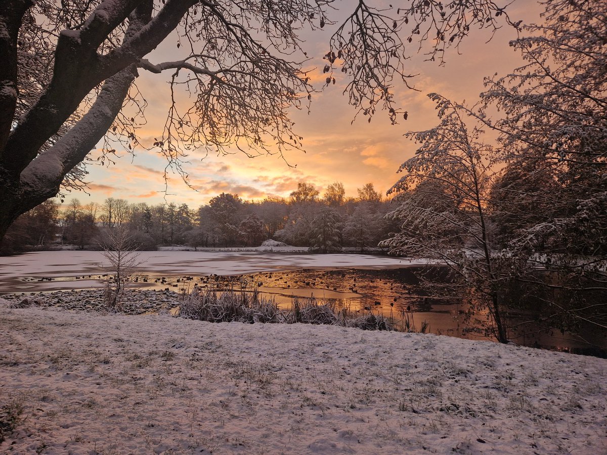 Wunderschön 🤩❄️