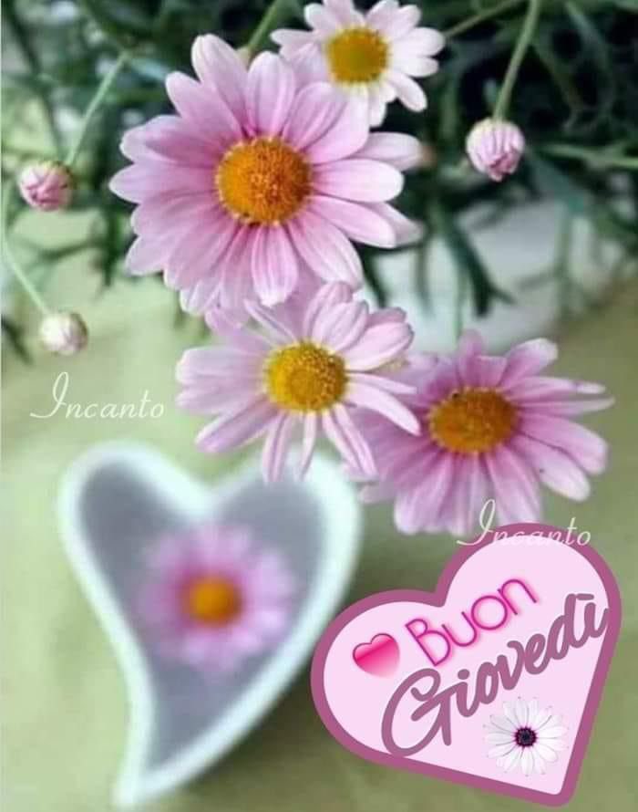 RITABIANCHi56 tweet media