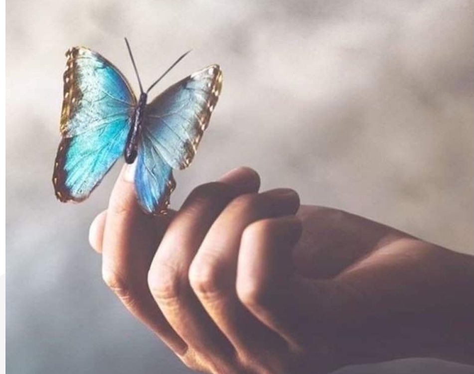 من أصدق ماقرأت📚:

لولا التغافل عن أشياء نعرفها ..
ماطاب عيش ولا دامت مودّات ! 

#صباح_الخير