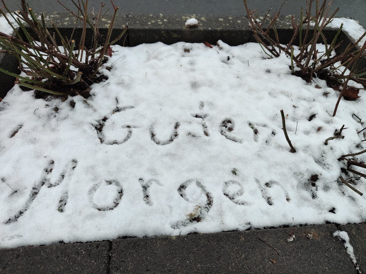 Salome Noire (@salome_noire) on Twitter photo 