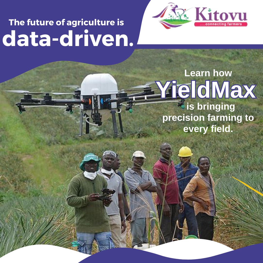 Shell Kitovu Kitovu Technology Company Ltd. (@KitovuRwanda) / Posts / X