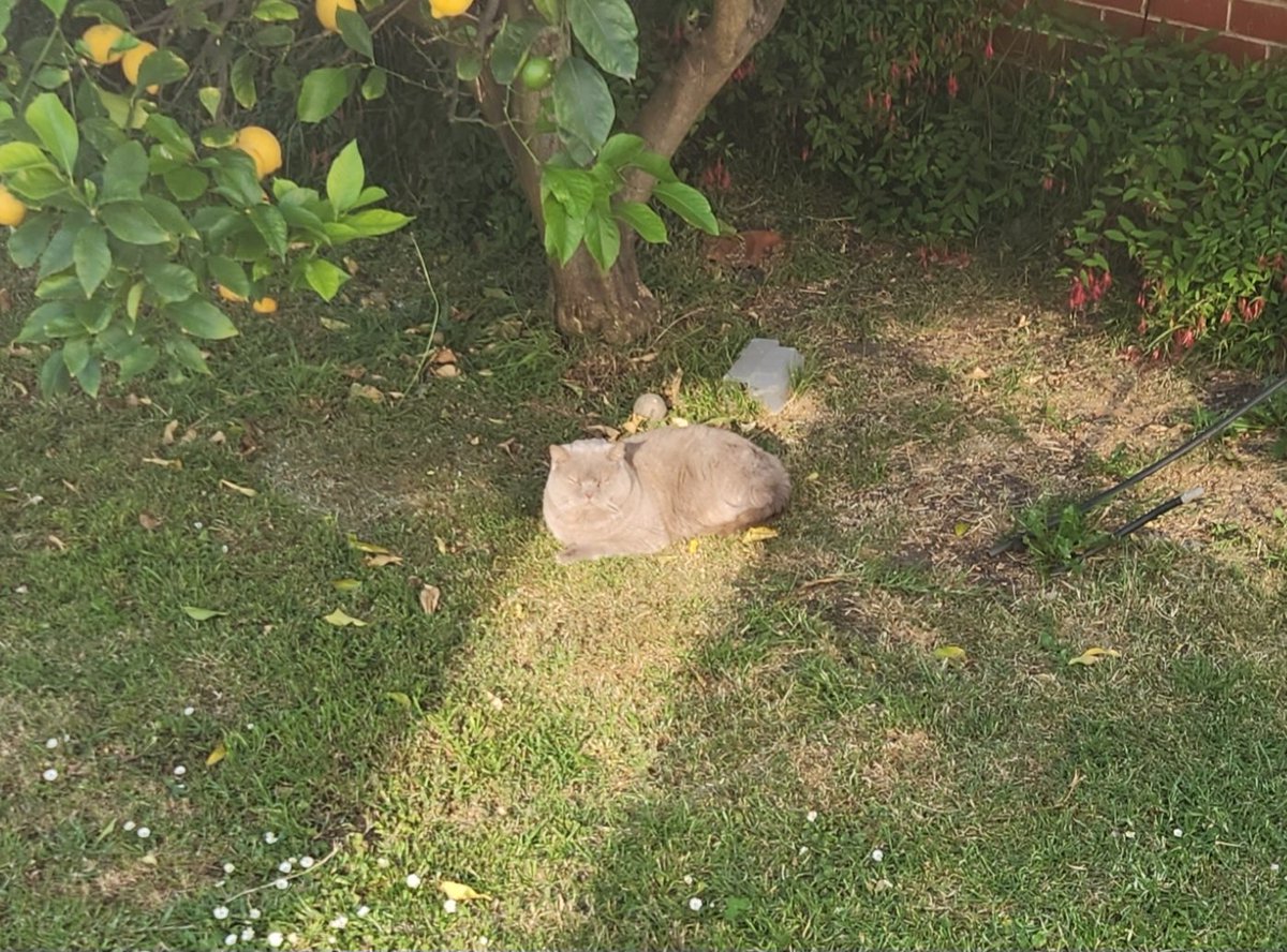 Behold, he dwells in the light.
#Winston