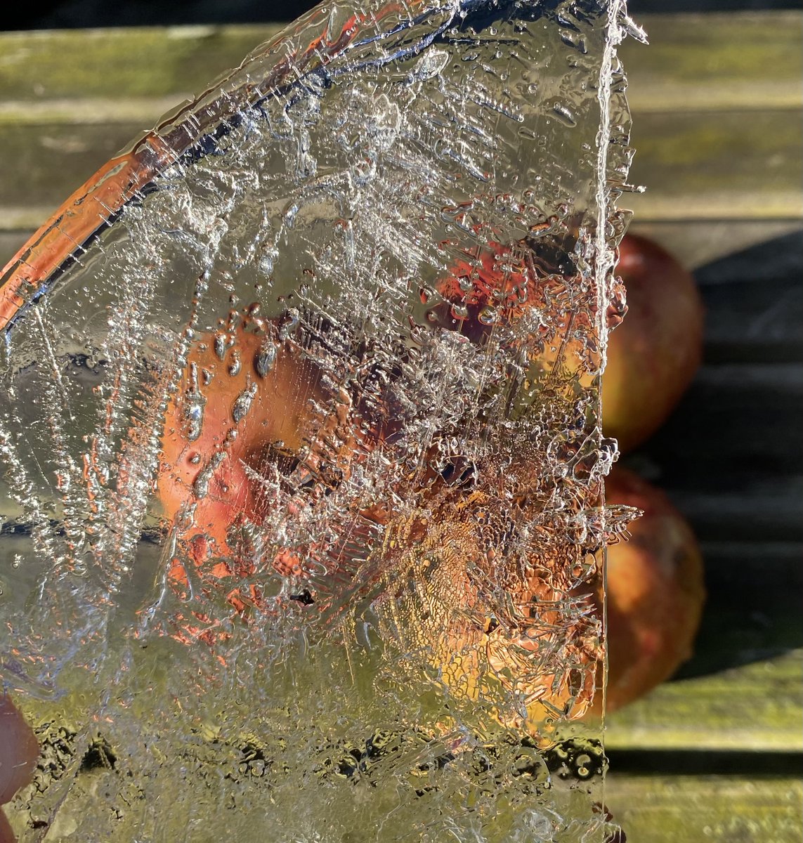 Robert Frost "After Apple Picking". 
I cannot rub the strangeness from my eyes I got from looking through a pane of glass I skimmed this morning from the drinking trough. Magnified apples appear and disappear, stem end and blossom end and every fleck of russet showing clear......