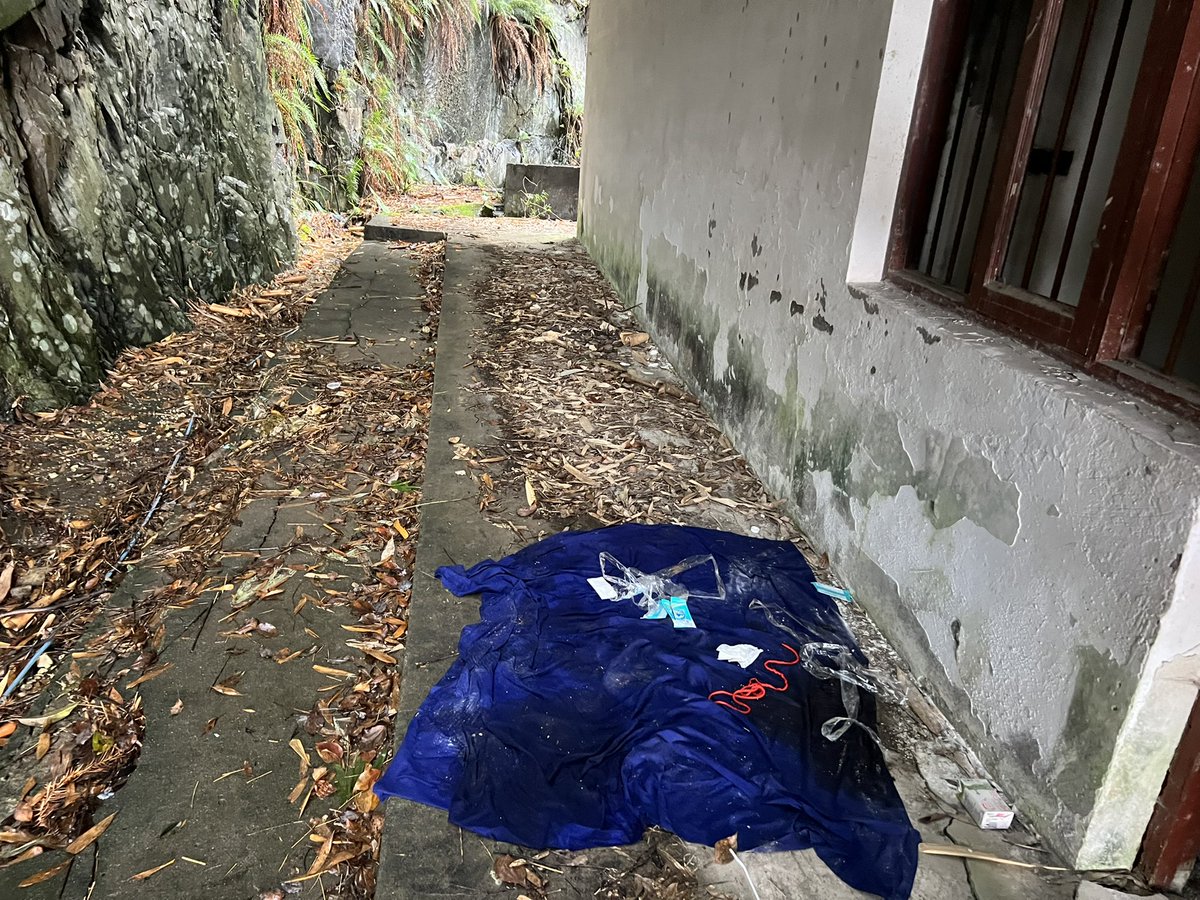 中发白 tweet media