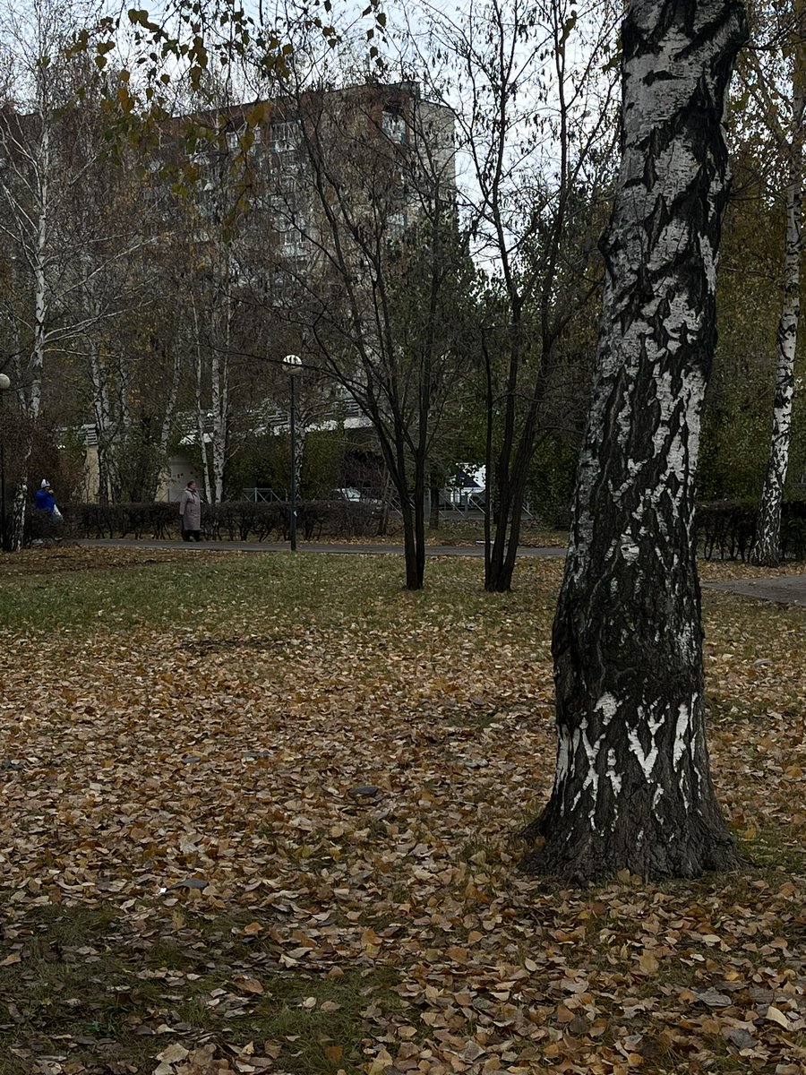 heavystonexx's tweet photo. эстетика вашей жизни при условии, что фотографиям не больше месяца 

а мне только дай повод фотками покидаться 🍂 https://t.co/KurODdJrL0