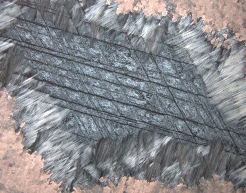 Kristina Dunkel tweet media