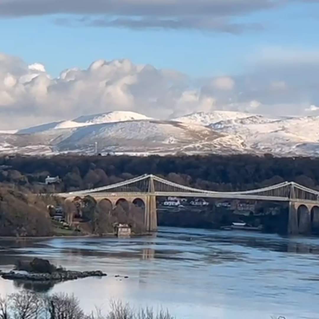 Anne Elliott tweet media