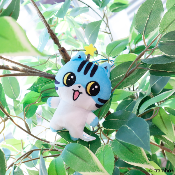 🎊🎊もうすぐ登場🎊🎊 SNSで大人気！ 『＃ねこのふうちゃん（@icrambo