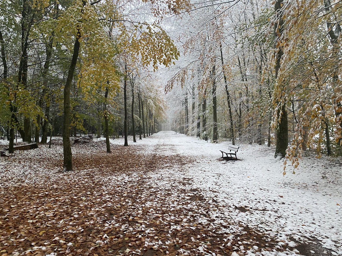 ❄️ Flers sous son manteau de #neige