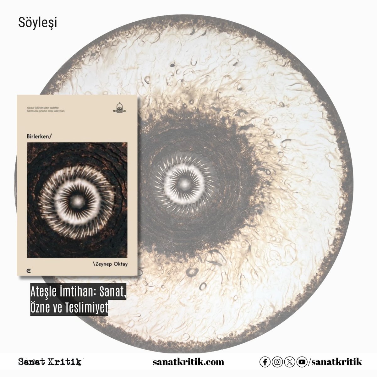 Zeynep Oktay, yaptığı sanat çalışmalarıyla çok sayıda sergide yer alan, alev ve kıvılcım kullandığı işleriyle bilinen güncel sanatçı Mehmet Öğüt ile birlikte, Oktay’ın ilk şiir kitabı “Birlerken” ile kapağındaki Öğüt’e ait “Explosion 2” adlı eseri konuşuyor. (<a href="/_zeynepoktay_/">Zeynep Oktay</a>)